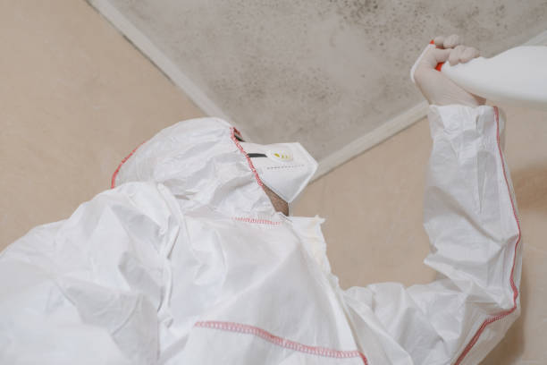 Best Attic Mold Removal  in Oakdale, PA